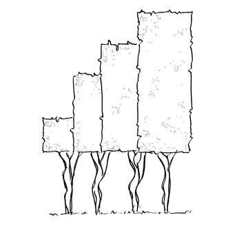 High-stemmed espalier trees multi-stemmed