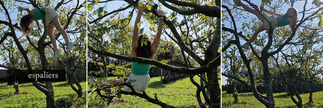 Alex-crazy-pose-climbingtree.jpg