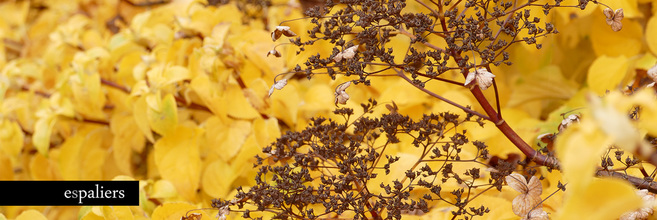 Lage-schermen-met-kleur-en-bloem2.jpg