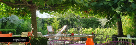 cafe-posthotel-platanus-wetteren.jpg