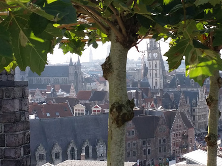 ghentinmotion-platanus-gent.jpg