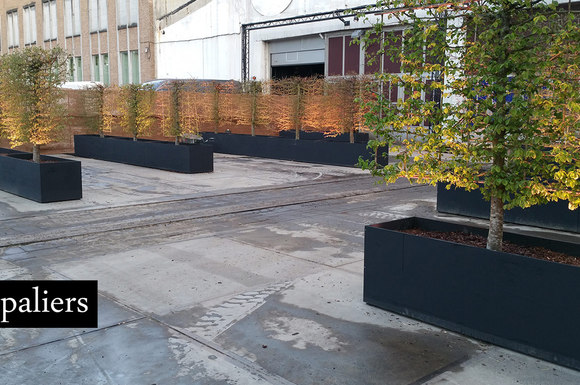 Aandachtspunten bij het kopen van steeneik Floralien-Ghent-2016.jpg